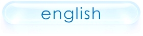 Toggle to English language
