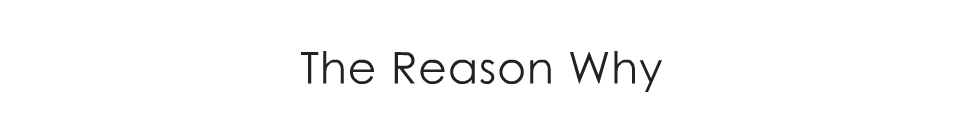 The Reason Why